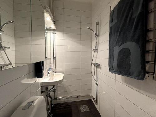 ein Bad mit einem Waschbecken und einem WC in der Unterkunft Stockholm Urban Escape in Stockholm