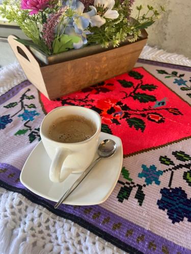 a cup of coffee on a plate with a spoon at Vila PauDeea in Moisei