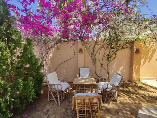 a group of chairs and tables under a tree with pink flowers at Alexander Lodge in Siwa