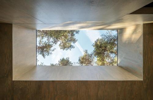 a window in a room with trees in the background at Trakt Forest Hotel Skogssviter in Holsbybrunn