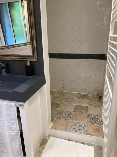 une salle de bain avec une douche avec un lavabo et un miroir dans l'établissement La berge du Clain - Joli appartement à Poitiers, à Poitiers