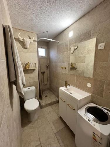 une salle de bain avec toilettes, lavabo et douche dans l'établissement Appartement Cap d'Agde Le Génois T2 de 36m2 avec parking privatif et accès internet, au Cap d'Agde