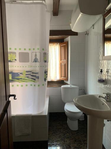 a bathroom with a toilet and a sink at Apartamentos Las Rocas de Brez in Brez