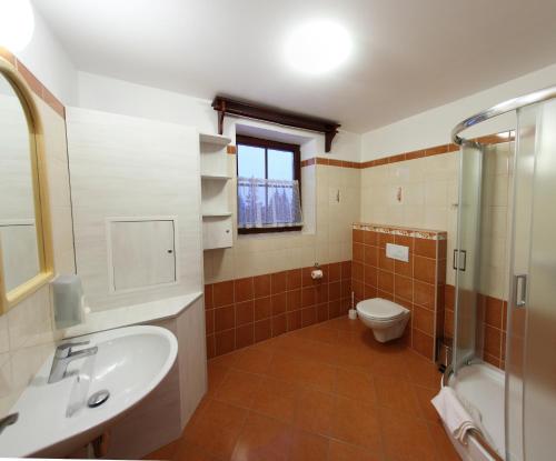 a bathroom with a sink and a toilet at Drevenice Zuberec in Zuberec