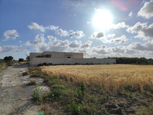 un bâtiment au milieu d'un champ d'herbe dans l'établissement Villa Nour Kélibia, à Kelibia