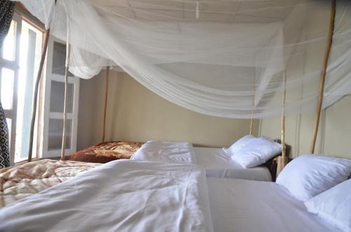 een slaapkamer met 3 bedden en een baldakijn bij Burera Cottage 