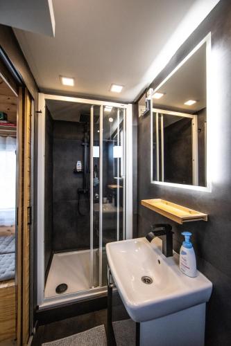 a bathroom with a shower and a sink at Tiny house - Chatka v Řeži u Prahy in Husinec