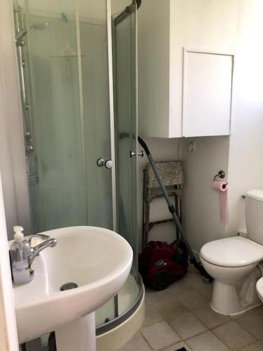 une salle de bain avec une douche, un lavabo et des toilettes dans l'établissement Petite Maison de charme 19ème, à Vaas