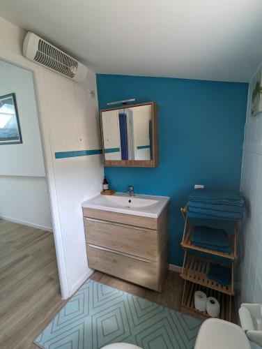une salle de bain avec un lavabo et un miroir dans l'établissement Charmant appartement avec jardin au calme, à Châteauneuf