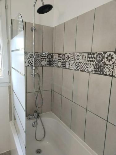 une douche avec pommeau de douche dans une salle de bain dans l'établissement la porte du Champagne, à Hautvillers