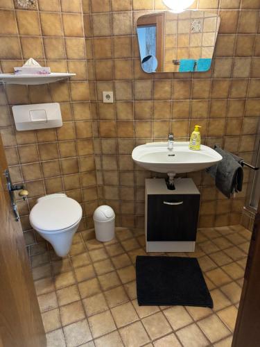 a bathroom with a sink and a toilet at Appartement Zugspitze 2 in Ehrwald