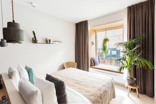 1 dormitorio con cama y ventana en Jardin Secret, en Bruselas
