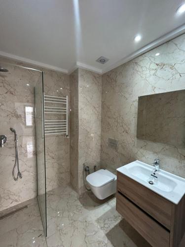 La salle de bains est pourvue de toilettes, d'un lavabo et d'une douche. dans l'établissement joli appartement a jardin de Carthage, à Tunis