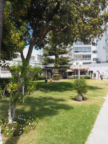 Puerto Marina-Playa Malapesquera
