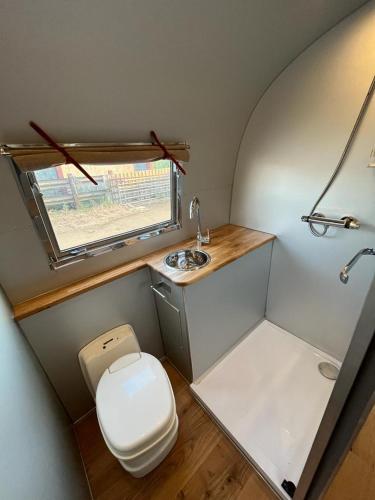 ein kleines Bad mit WC und Waschbecken in der Unterkunft The Silver Spirit in Gildingwells