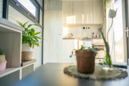 Dapur atau dapur kecil di Bouda u třešní