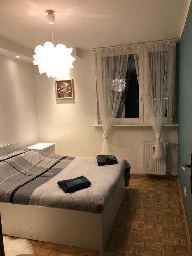 Gallery image of Flowers in Toruń