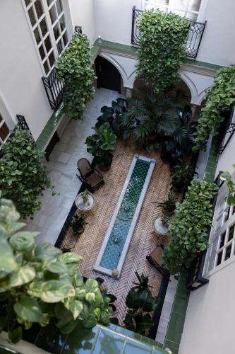 Hotel Gravina 51 photo 46