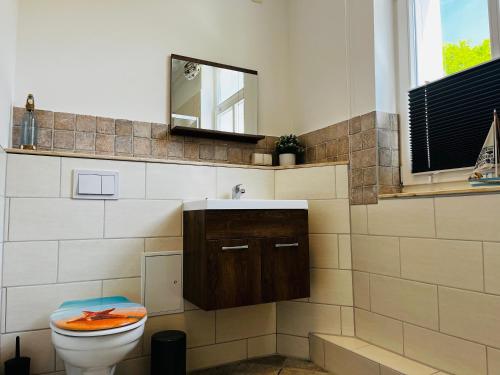 a bathroom with a toilet and a sink and a mirror at Kapitänshaus an der Warnow mit Sauna in Rostock