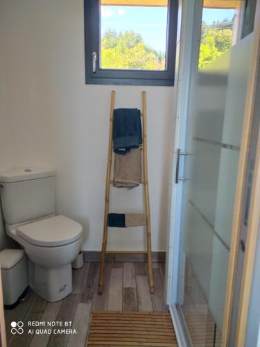 La salle de bains est pourvue de toilettes, d'une fenêtre et d'une échelle. dans l'établissement Gîte de la chabanne, à Lentillères