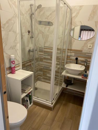 a bathroom with a shower and a toilet and a sink at Maison chaleureuse chez l’habitant avec parking in Theix