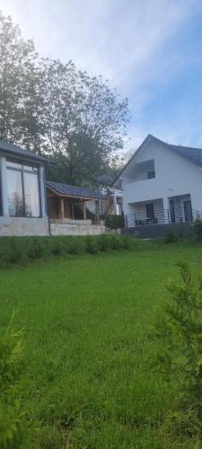 a large yard with a white house and a house at Casa Maria Sarata Monteoru in Sărata-Monteoru