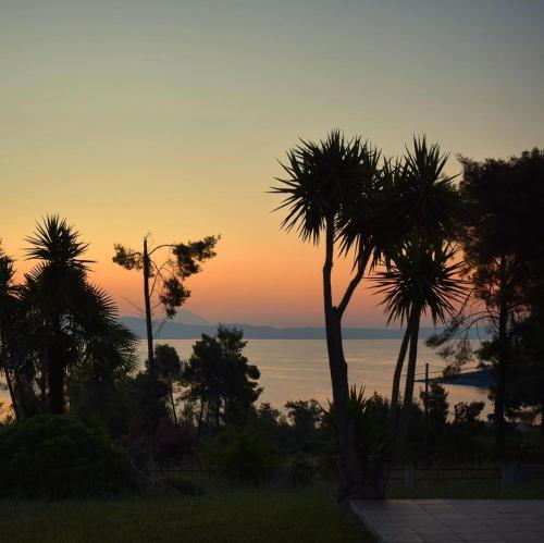 a sunset over the water with palm trees at Pine inn Xenia in Paliouri