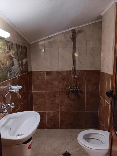 a bathroom with a shower and a toilet and a sink at Хотел Дончо Войвода in Koprivshtitsa