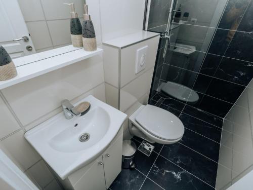 a bathroom with a sink and a toilet and a shower at Apartments Milivojevic in Bar