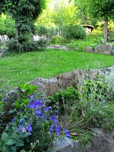 a garden with some blue flowers in the grass at Apartament Jasminum in Polanica-Zdrój