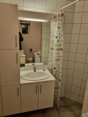 baño con lavabo y cortina de ducha en Appartment Morana, Falkum, en Skien
