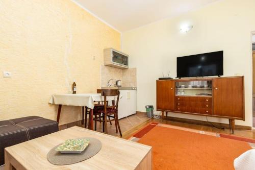 TV a/nebo společenská místnost v ubytování Rural apartment Radman