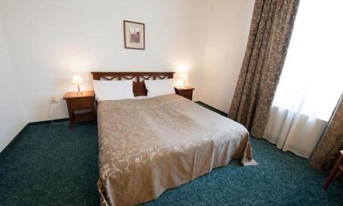 a hotel room with a bed and a window at Hotel Ana in Arad