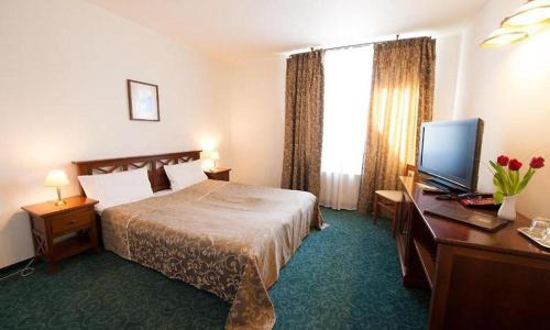 a hotel room with a bed and a desk with a television at Hotel Ana in Arad