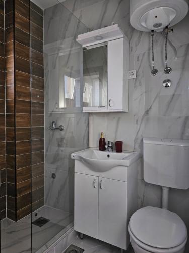 a bathroom with a toilet and a sink and a shower at Zlatni bor apartmani in Solotuša