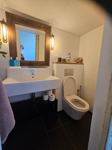 ein Bad mit einem Waschbecken und einem WC in der Unterkunft Waterfront Studio in Amsterdam