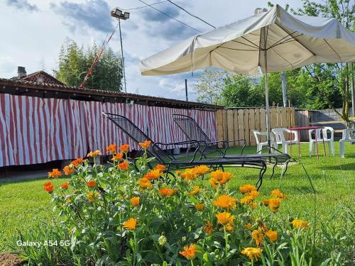 two chairs and an umbrella in a yard with flowers at Casa Matilde in Leinì