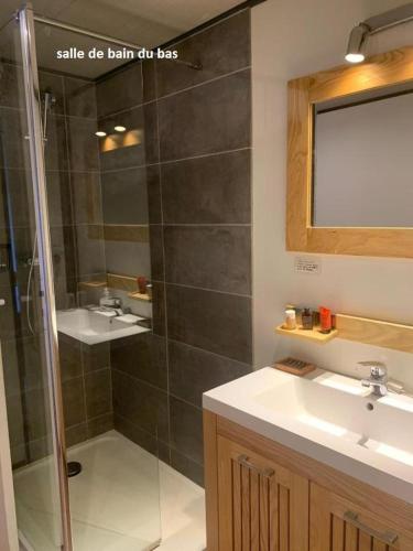 a bathroom with a shower and a sink and a mirror at Villa La Viva Porticcio in Porticcio