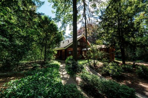 a house in the middle of a forest at t Jagershuys incl. gebruik Finse sauna in Soest