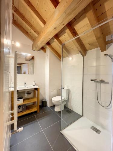 une salle de bain avec une douche, des toilettes et un lavabo dans l'établissement Chalet Le Charbonnel, à La Toussuire
