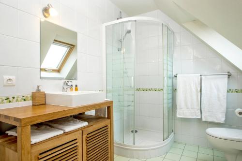a bathroom with a shower and a sink at La Canopée des Pins in Cléder