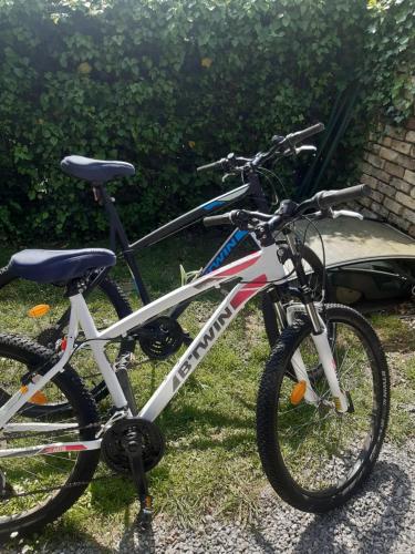 una bicicleta estacionada en el césped del patio en Bulles d'un soir Gite SPA en Ruminghem