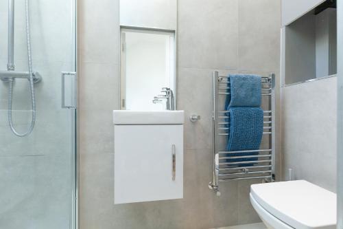 a bathroom with a toilet and a sink and a shower at 23A Wharton Road in Oxford