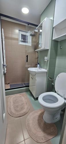 a bathroom with a toilet and a sink at VMP Apartament Zarnesti in Zărneşti