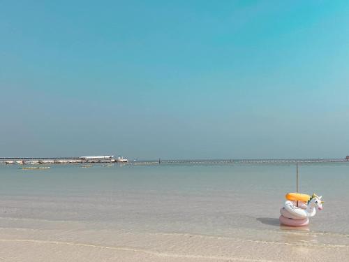 a beach with a toy animal on the sand at Baan Sailboat Beach Kohlarn in Ko Larn