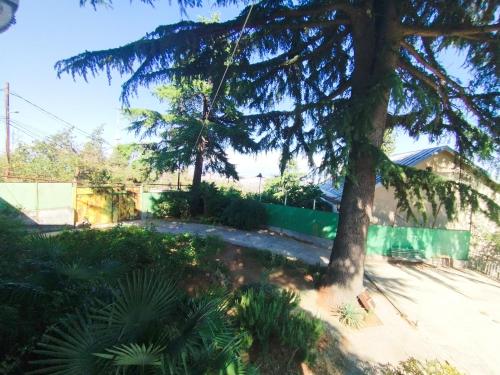Κήπος έξω από το Sweet Home Near Mtatsminda Park