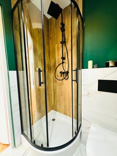 a shower in a bathroom with a green wall at MagMar Studio Kluczbork in Kluczbork