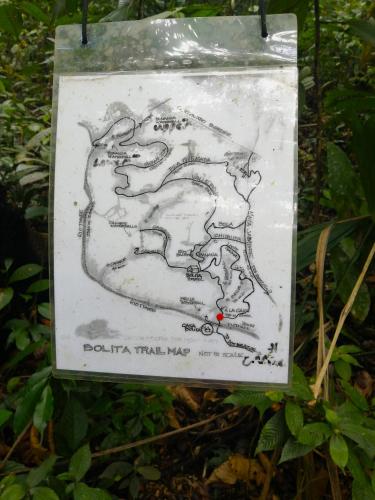 a map of the trail in the forest at Bolita Trails and Lodging in Dos Brazos