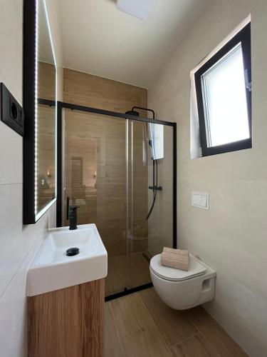 a bathroom with a toilet and a sink and a shower at Apartment Mate in Pridraga