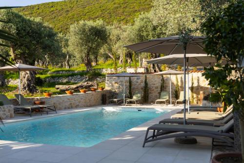 una piscina con sedie e ombrelloni di MASHTRA - The Olive House a Ulcinj